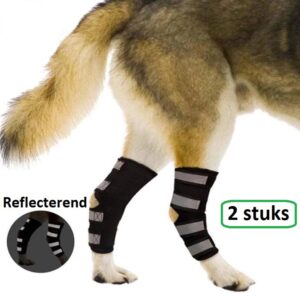 Hondenbrace - Geschikt voor Voorpoot en Achterpoot - 2 Stuks