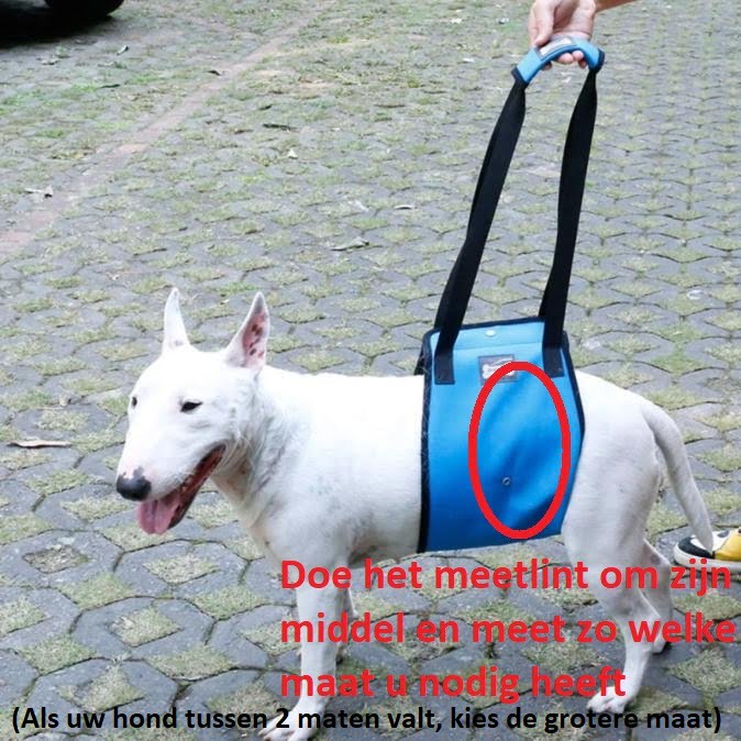 Draaghulp / Tilhulp voor honden - Afbeelding 2
