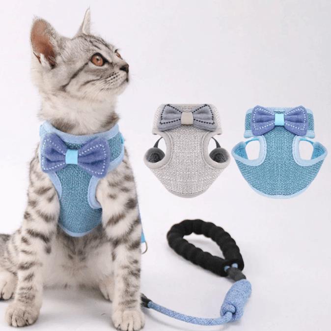 Kattentuigje met riem