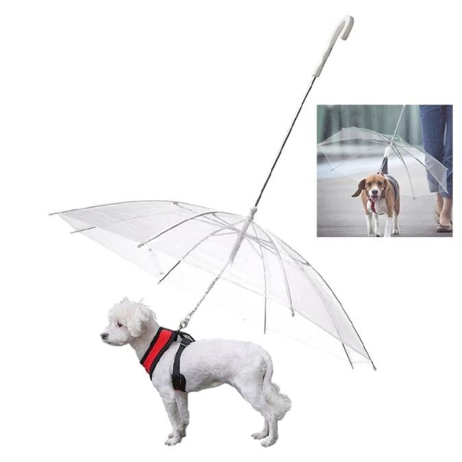 Paraplu voor honden