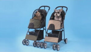 Buggy voor honden