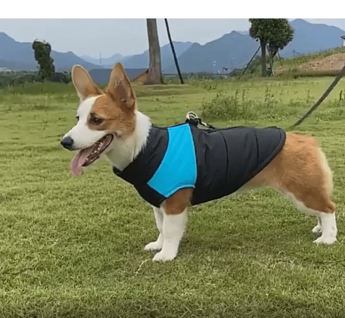 Waterproof hondenbodywarmer - Afbeelding 5