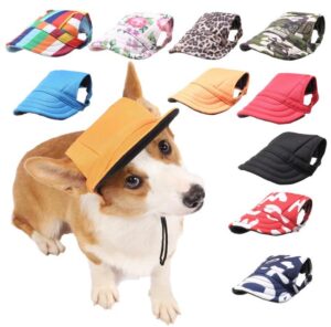 Pet voor Honden