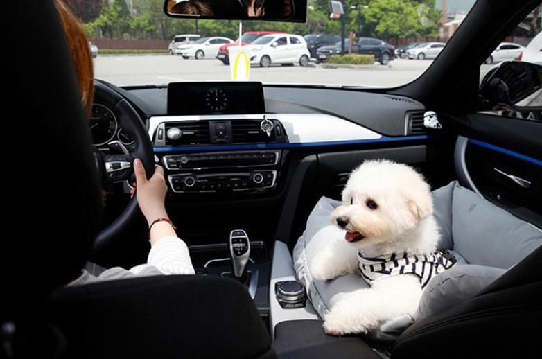 Luxe Autostoel voor honden - Hondenmand in de Auto - Afbeelding 4