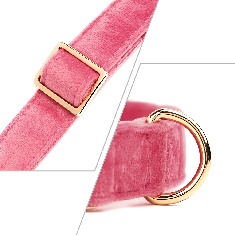 Fluwelen Hondenhalsband met Naam - Afbeelding 8