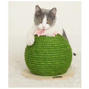 Kattenkrabpaal cactus rond