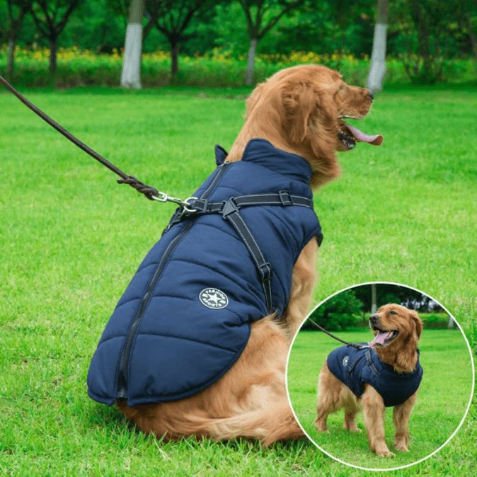 Waterproof bodywarmer voor honden - Afbeelding 4