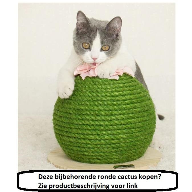 Kattenkrabpaal cactus - Afbeelding 5