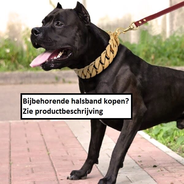Heavy Duty Cuban Link Hondenriem - 3.2cm breed - Afbeelding 3