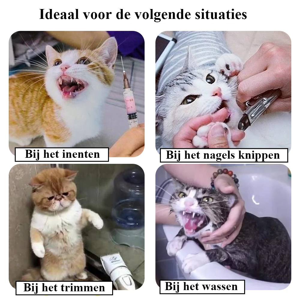 Kattenmuilkorf - van Kunststof - Afbeelding 2
