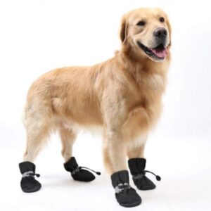 Warme winterschoenen voor huisdieren
