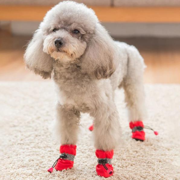Warme winterschoenen voor huisdieren - Afbeelding 7