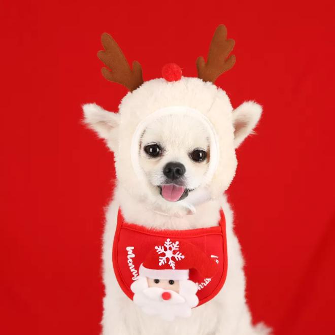 Kerstmuts en Slabbetje voor Kleine Honden en Katten - Afbeelding 3