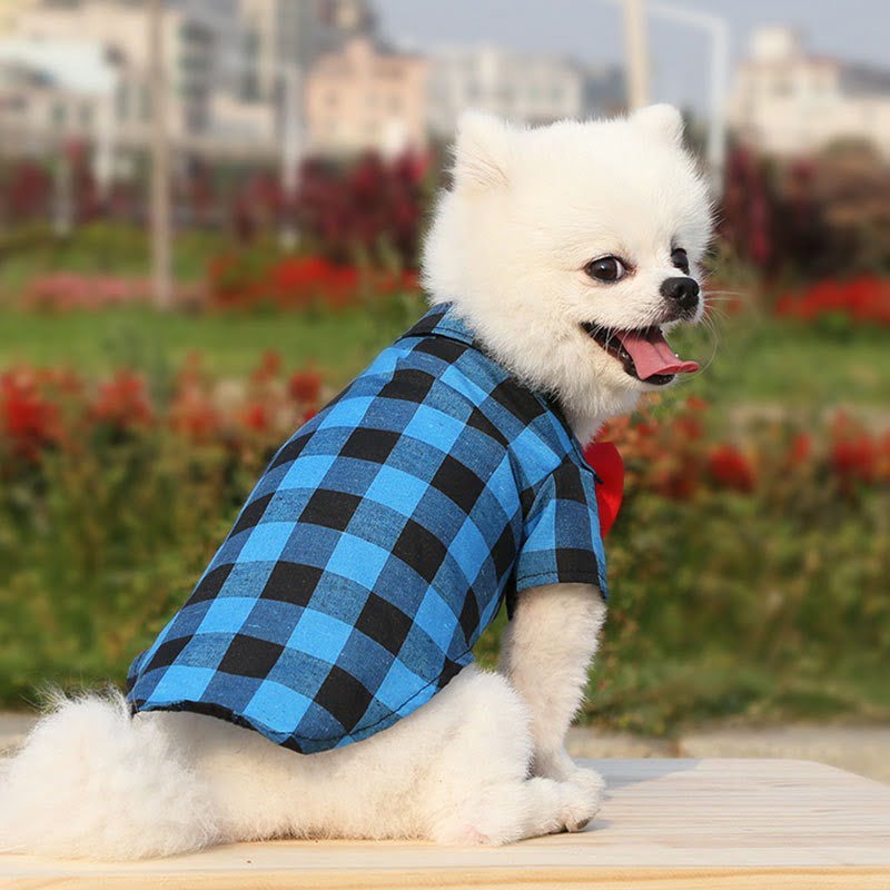 Blouse met Strik voor Honden - Afbeelding 7