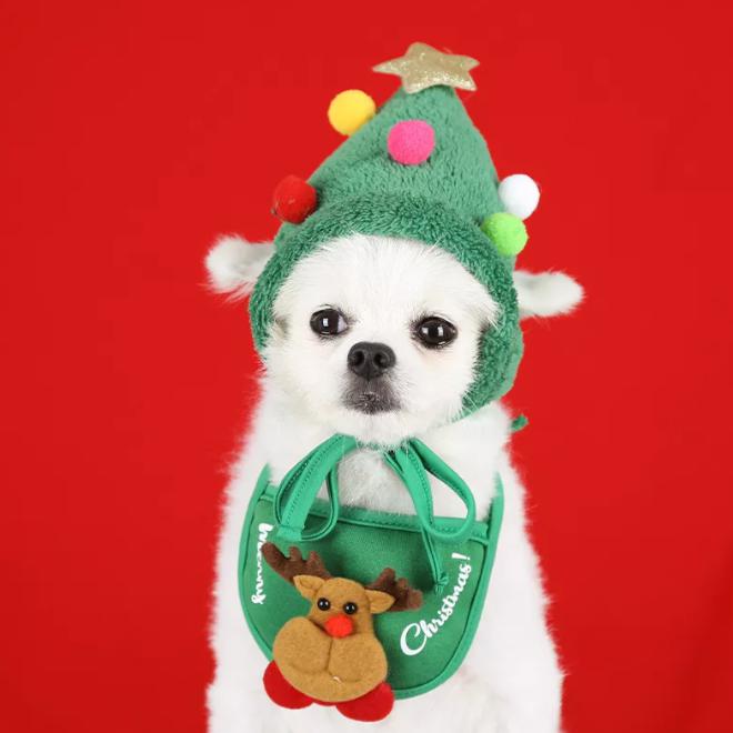 Kerstmuts en Slabbetje voor Kleine Honden en Katten - Afbeelding 4