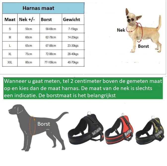 Hondenharnas met naam - Afbeelding 2