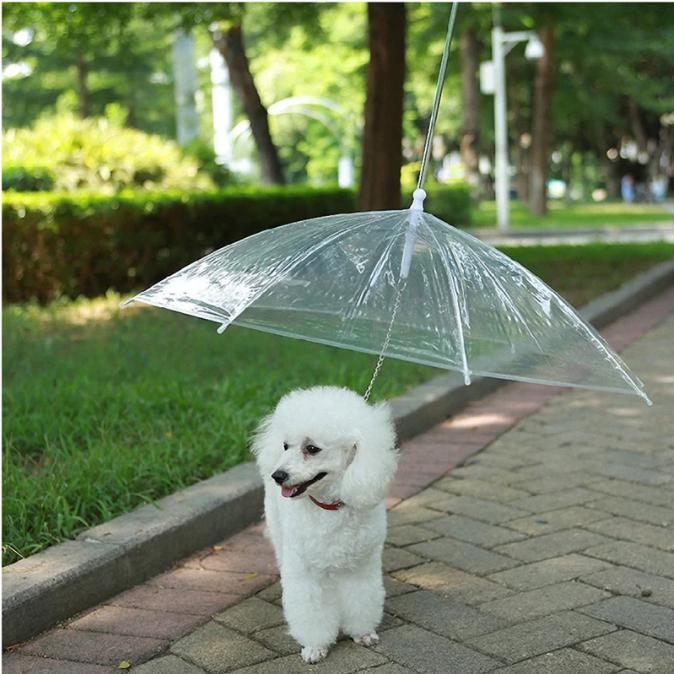 Paraplu voor honden - Afbeelding 3