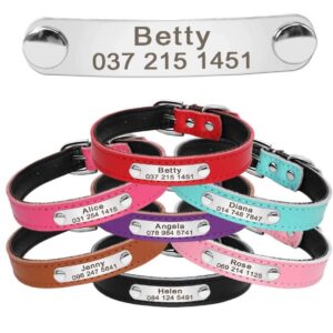 Leren halsband met naam voor katten