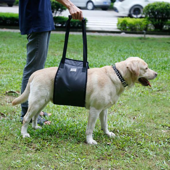 Draaghulp / Tilhulp voor honden - Afbeelding 8