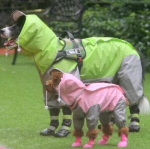 Regenpak met Capuchon voor Honden - Beschermt uw hele Dier tegen Regen