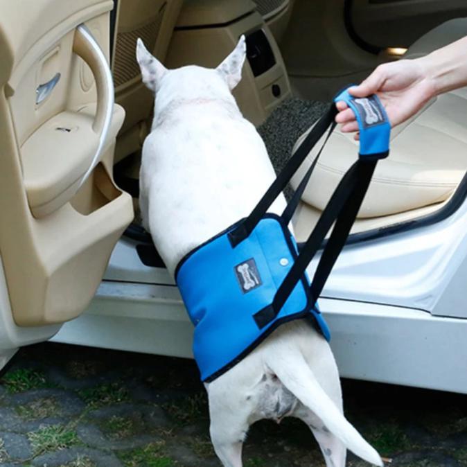 Draaghulp / Tilhulp voor honden