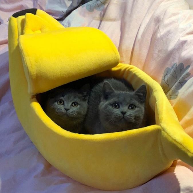 Kattenmand banaanvorm - Afbeelding 4