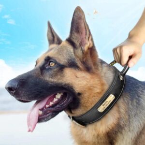 Leren Halsband voor Hond met Handvat - Met Gepersonaliseerde Tekst