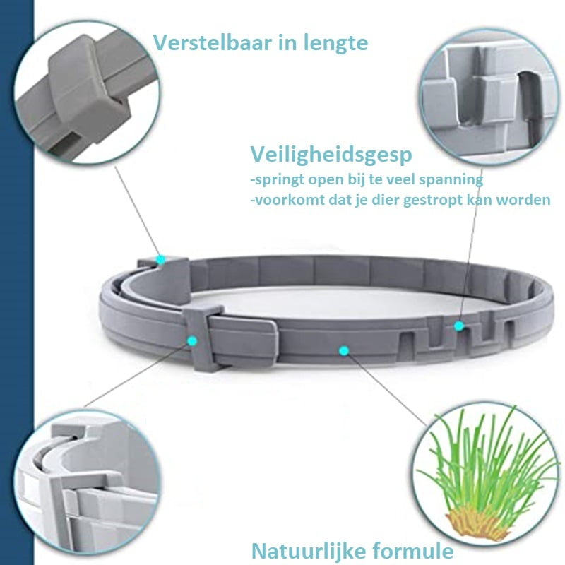 Beile Vlooien- en Tekenband - Afbeelding 2