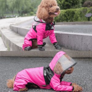 The Dog Face Regenpak voor Honden
