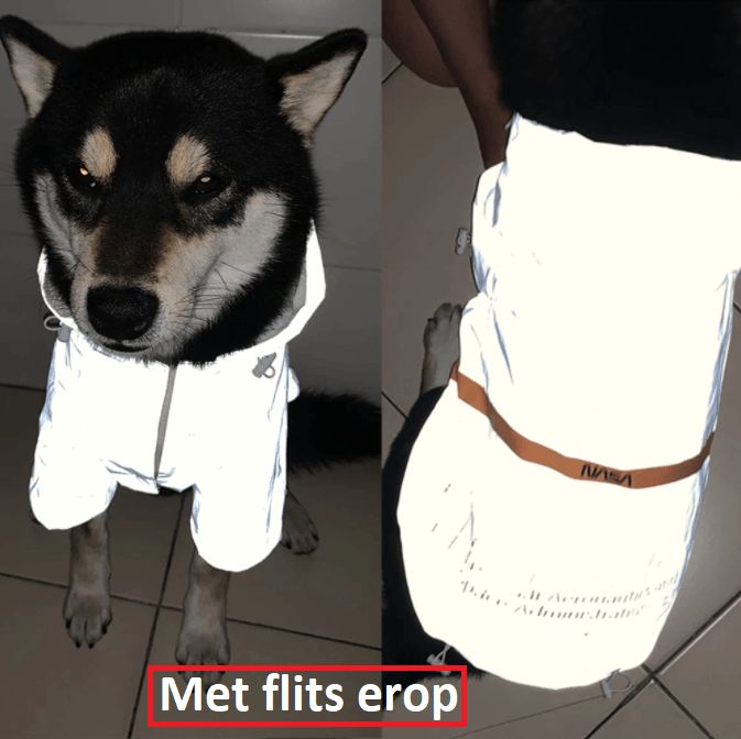 Reflectieve regenjas voor honden - Afbeelding 5