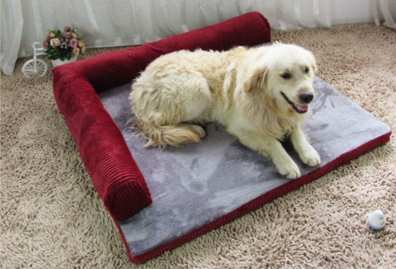 Ergonomische slaapmat voor honden