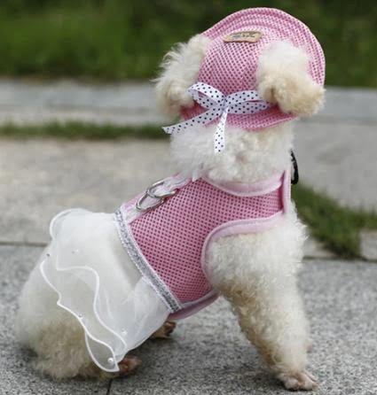 Vissershoedje voor Honden - Afbeelding 4