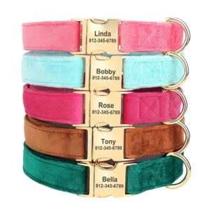 Fluwelen Hondenhalsband met Naam