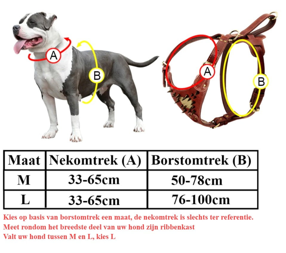 Heavy Duty Hondenharnas - Voor Extreem sterke honden - Met Gravure - Afbeelding 2