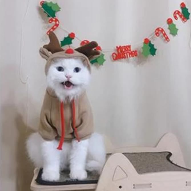 Rendier Kerst Hoodie voor Hond en Kat - Afbeelding 3