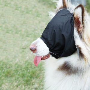 Calming Cap - Kalmerend Oogmasker voor Honden