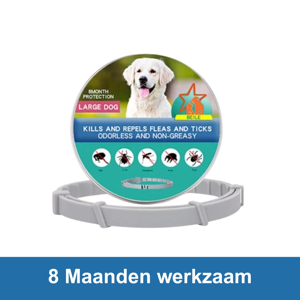 Beile Vlooien- en Tekenband - Afbeelding 5