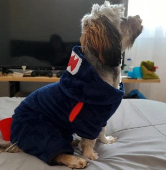 Haaienpak voor Huisdieren - Afbeelding 3