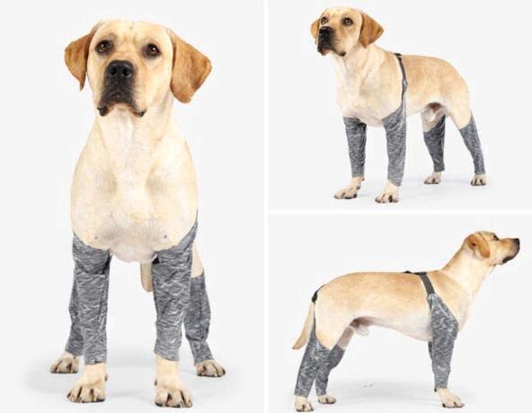 Pootmouw voor Honden - Voor -en achterpoten - Afbeelding 6