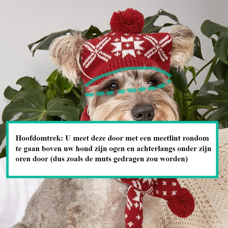 Gebreide Kerstmuts + Kerstsjaal voor Honden - Afbeelding 6