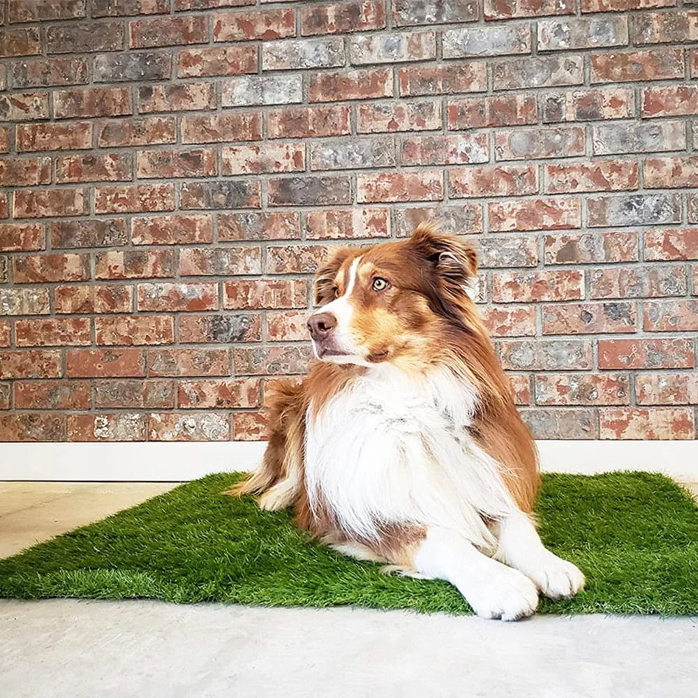 Kunstgras Mat voor Honden