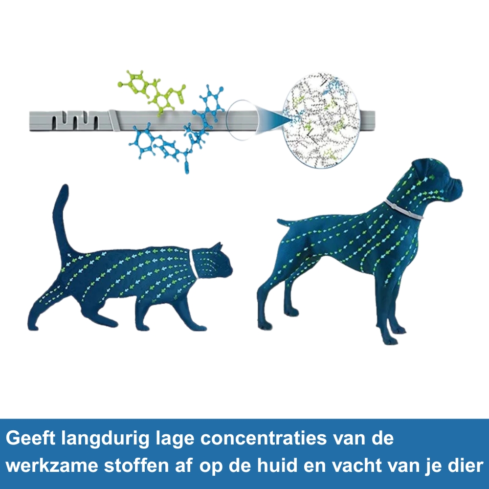 Beile Vlooien- en Tekenband - Afbeelding 3