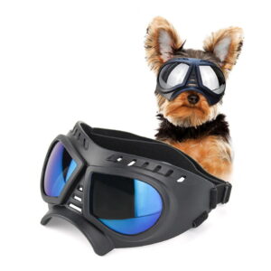 Motorbril voor Honden - Gepolariseerde glazen