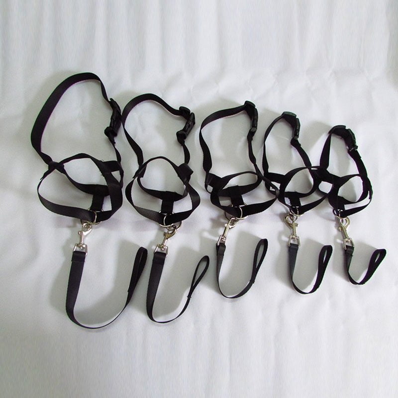 Neusband / Hoofdhalsband / Gentle Leader voor Honden - Neem controle over uw dier - Afbeelding 5