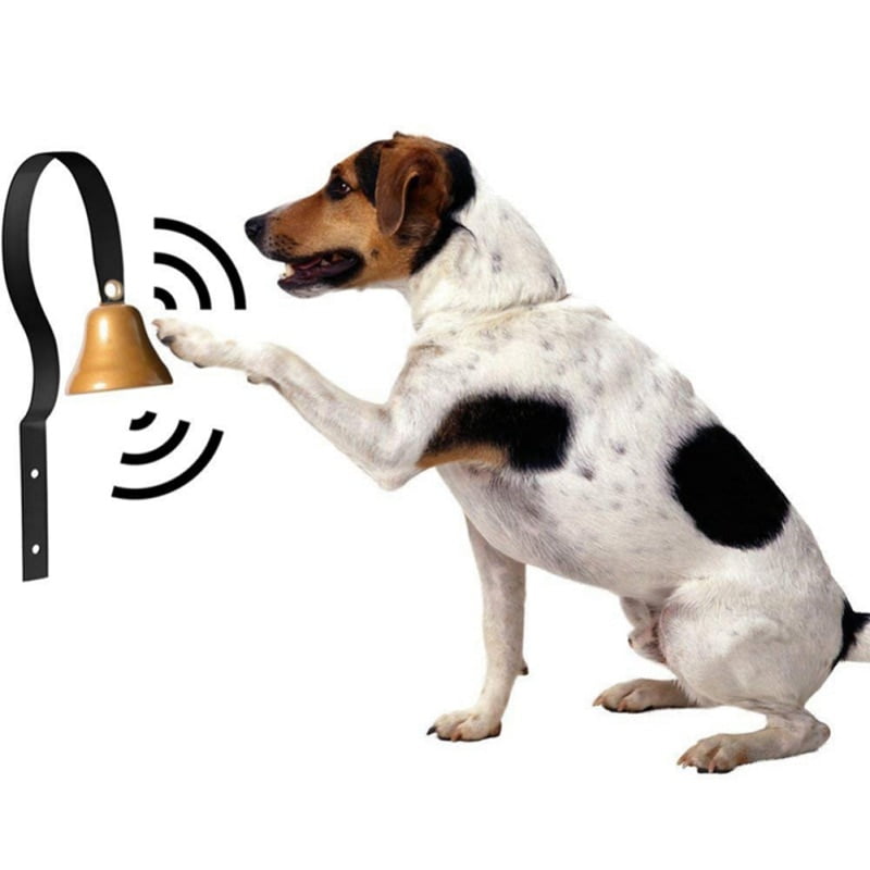 Deurbel voor Honden - Afbeelding 6