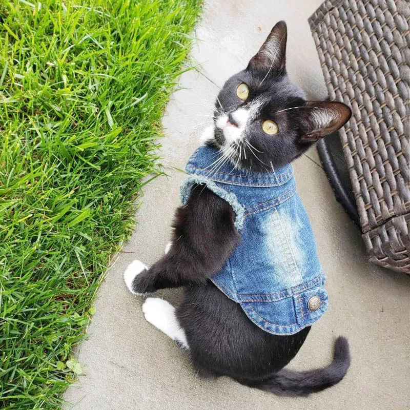 Denim Jacket voor Katten
