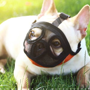Muilkorf voor Honden met Platte/Korte Snuit