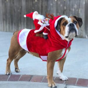 Kerstkostuum voor Honden en Katten met Kerstmanpop - Santa's Reindeer