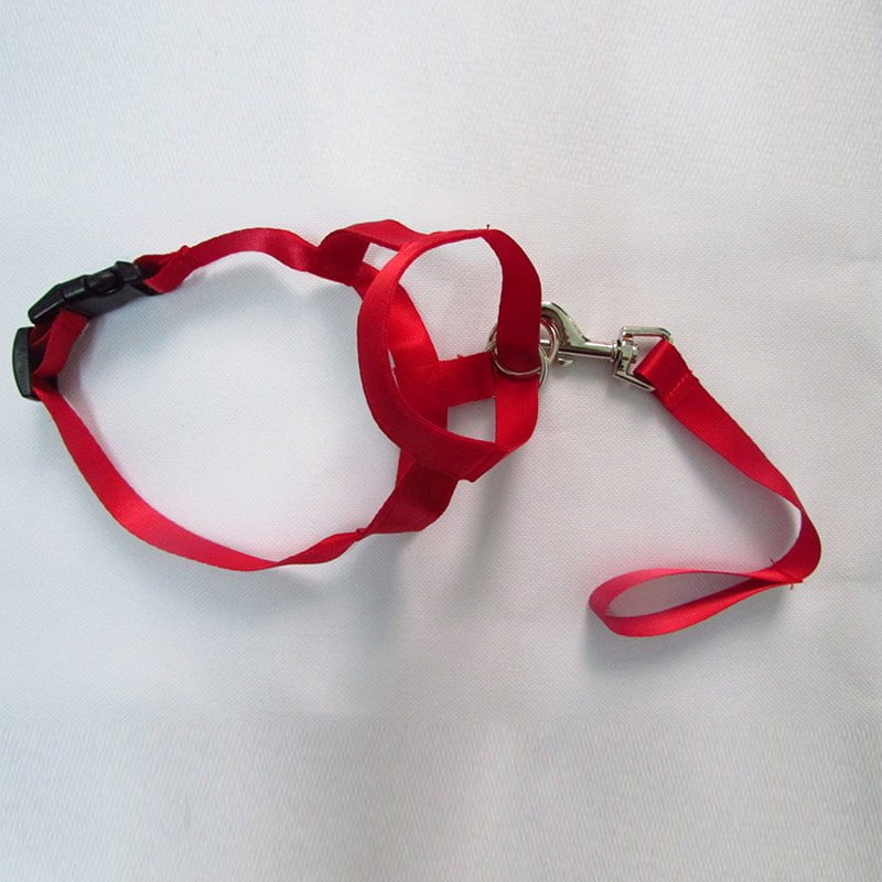 Neusband / Hoofdhalsband / Gentle Leader voor Honden - Neem controle over uw dier - Afbeelding 6