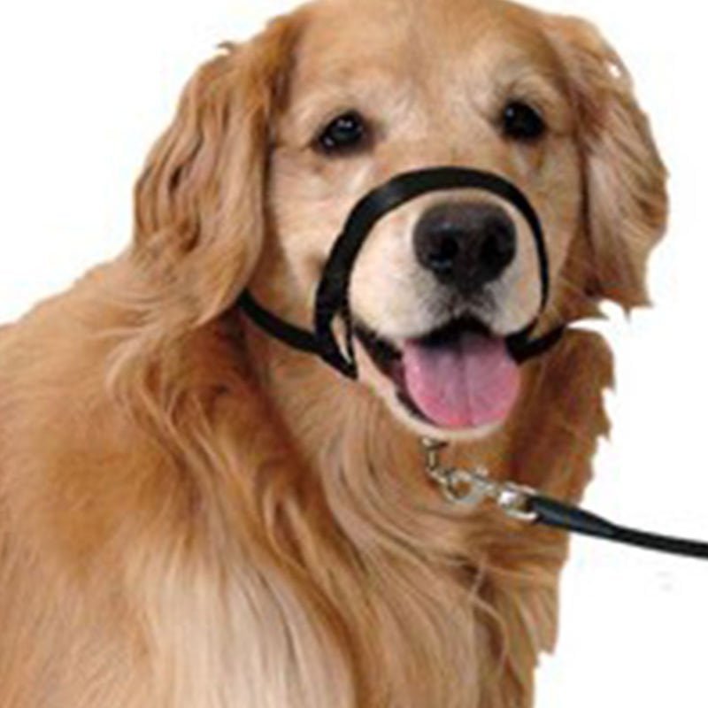 Neusband / Hoofdhalsband / Gentle Leader voor Honden - Neem controle over uw dier - Afbeelding 4